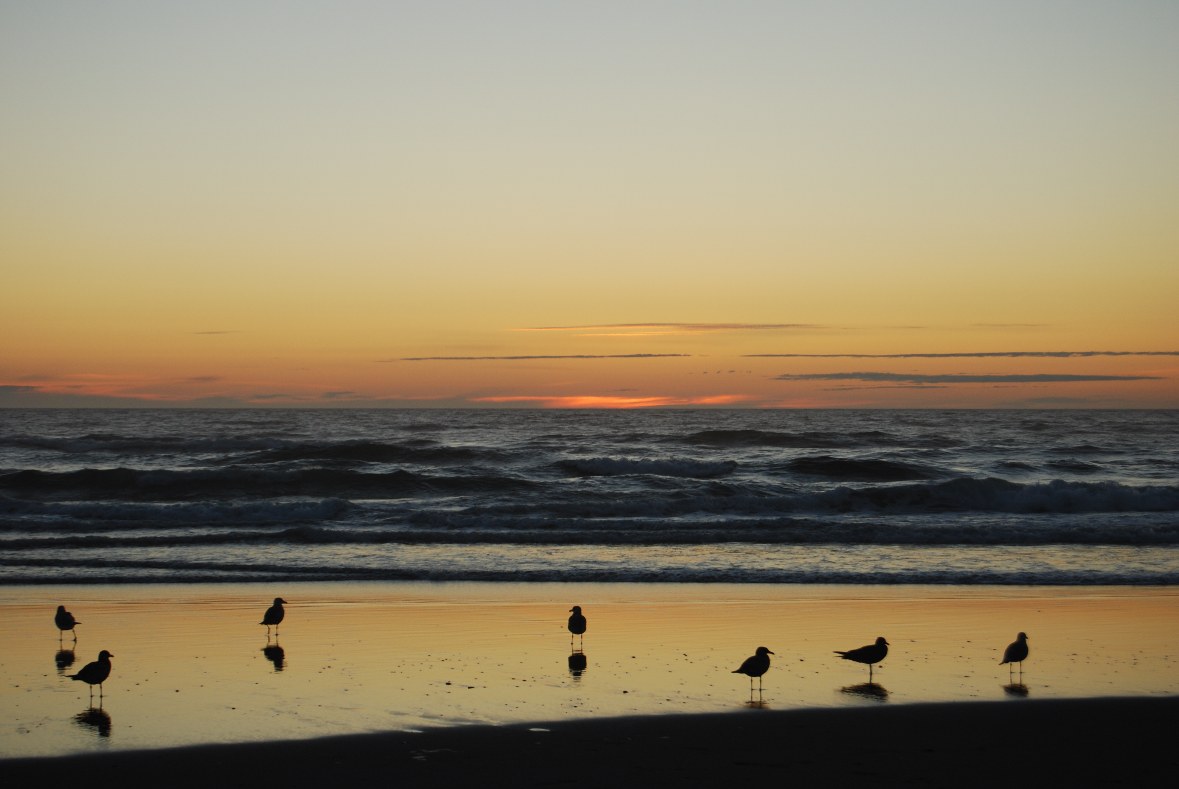 Oregon Coast